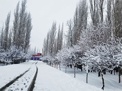 Skardu