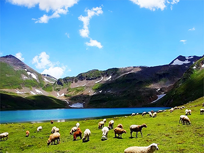 Deosai National Park 400x300