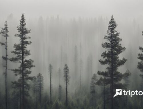 Rain and snowfall expected in the northern and western regions of the country from December 20, 2025