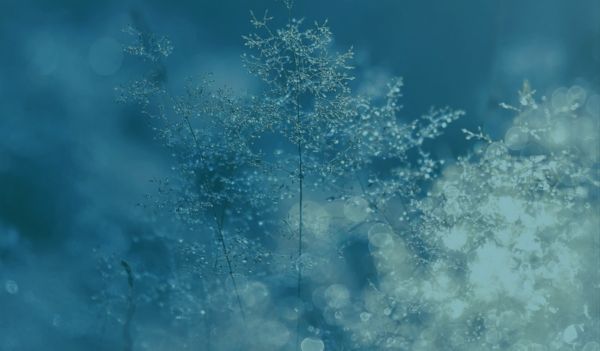 Heavy snowfall in northern areas