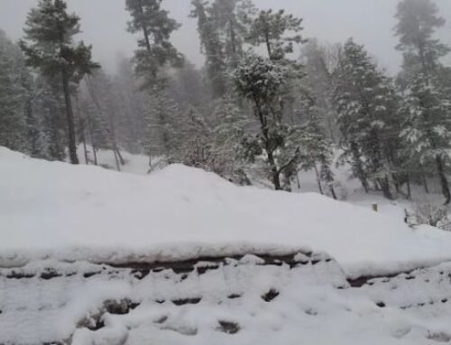Heavy snowfall in Neelam Valley has created an emergency situation. Roads, power and internet services are down.