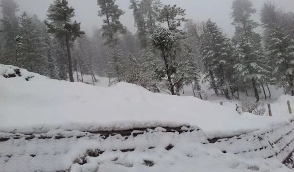 Snowfall in Neelam Valley
