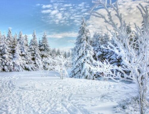 Snowfall begins in Quetta after many years